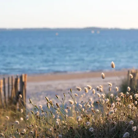 Baie De Beaumer-3 By Interhome * Carnac